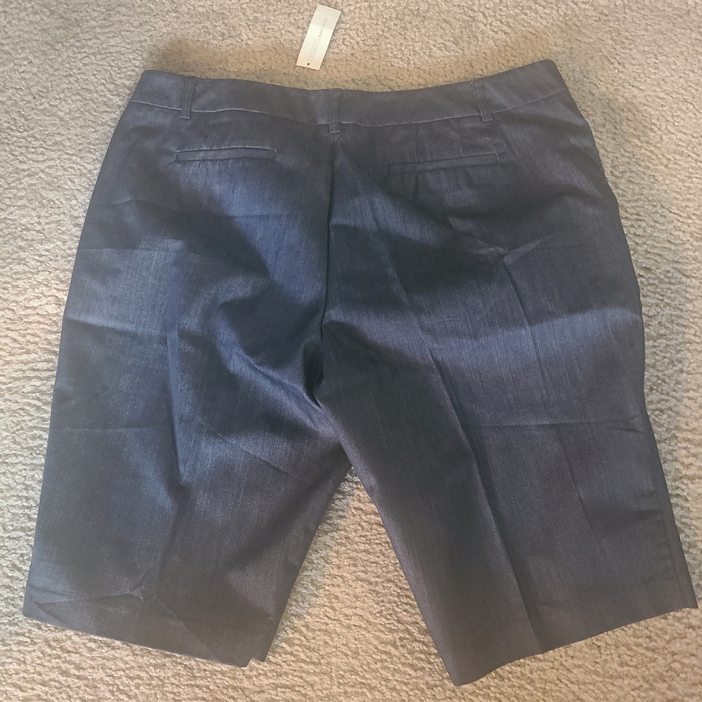 New York & Company Jacket & Short Set